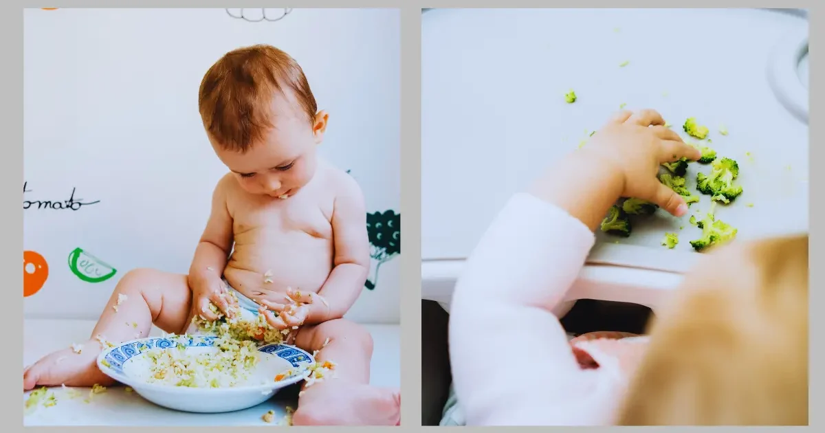 Baby led weaning adalah