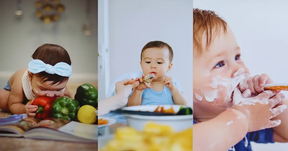 Baby led weaning adalah