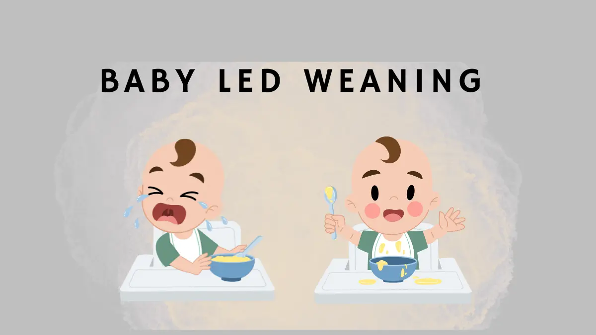 Baby Led Weaning Adalah: Kelebihan, Kekurangan, dan Cara Menerapkannya