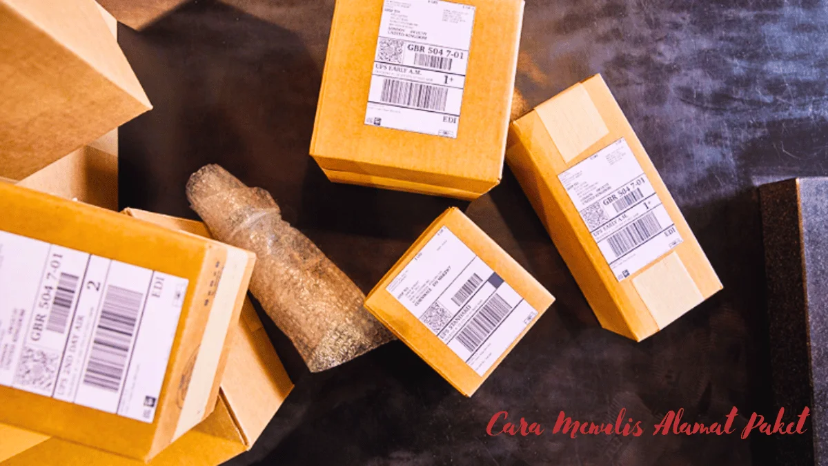 Cara Menulis Alamat Paket