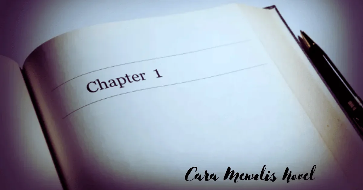 Cara Menulis Novel
