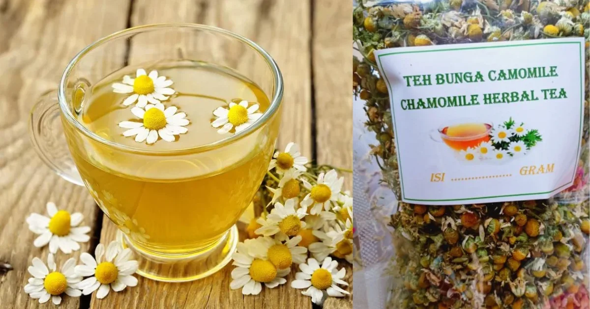 obat batuk alami untuk ibu hamil