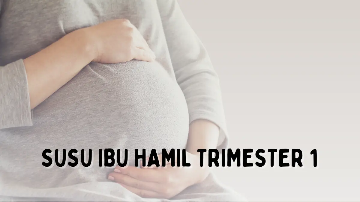 Susu Ibu Hamil Trimester 1