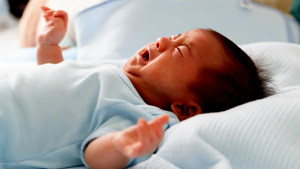 Susu LLM untuk Bayi Baru Lahir