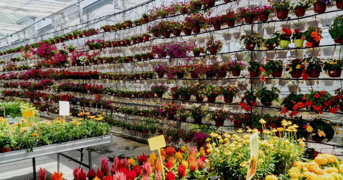 Ide Usaha Rumahan Kreatif