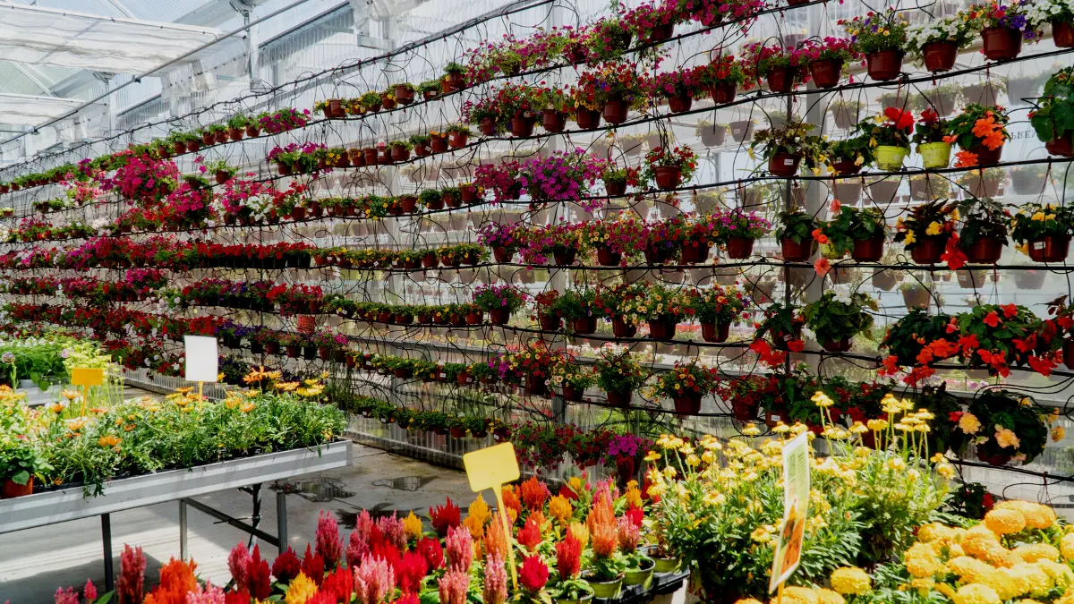 Ide Usaha Rumahan Kreatif