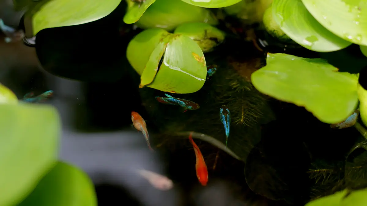 Ide Usaha Rumahan Kreatif