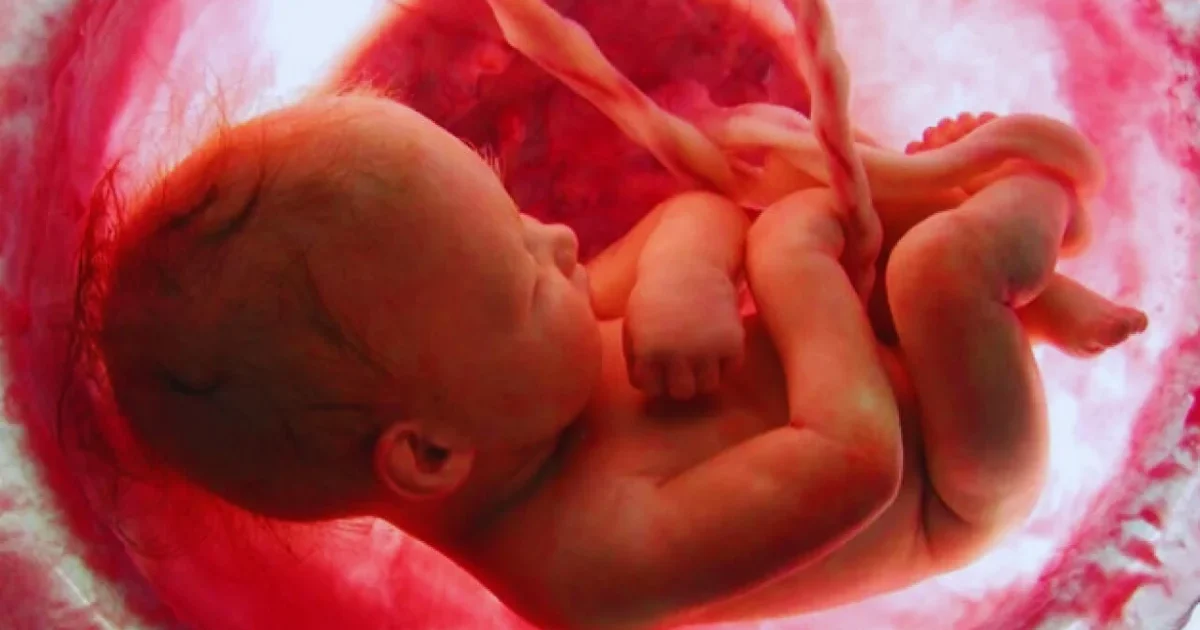 Manfaat bubur kacang hijau untuk ibu hamil