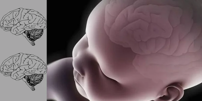 Manfaat bubur kacang hijau untuk ibu hamil