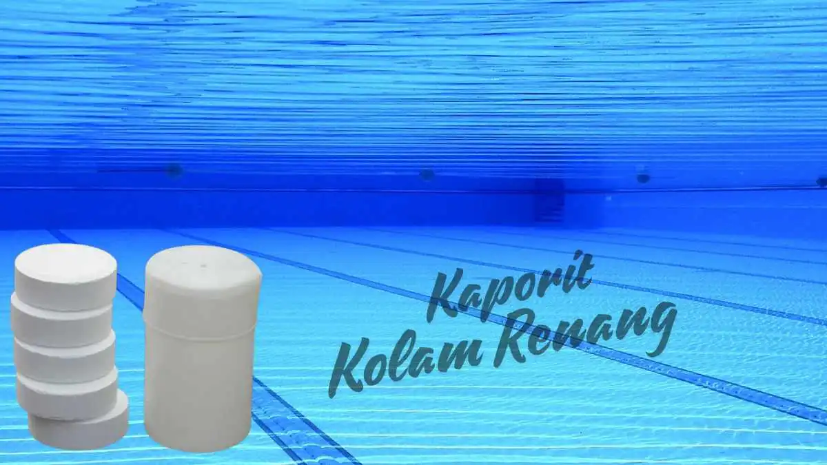 Mengenal Fungsi Kaporit Kolam Renang, Seberapa Penting?
