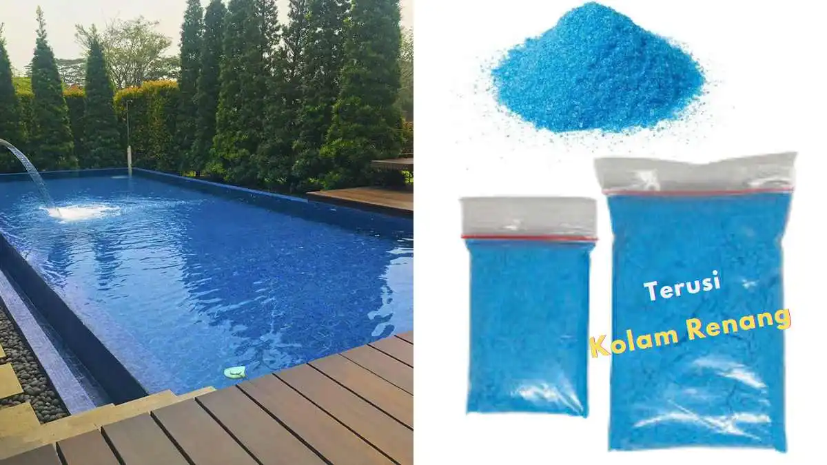 Apa itu Terusi Kolam Renang? Ini Fungsi dan Cara Pakainya