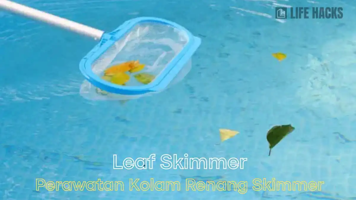 leaf skimmer untuk perawatan kolam renang