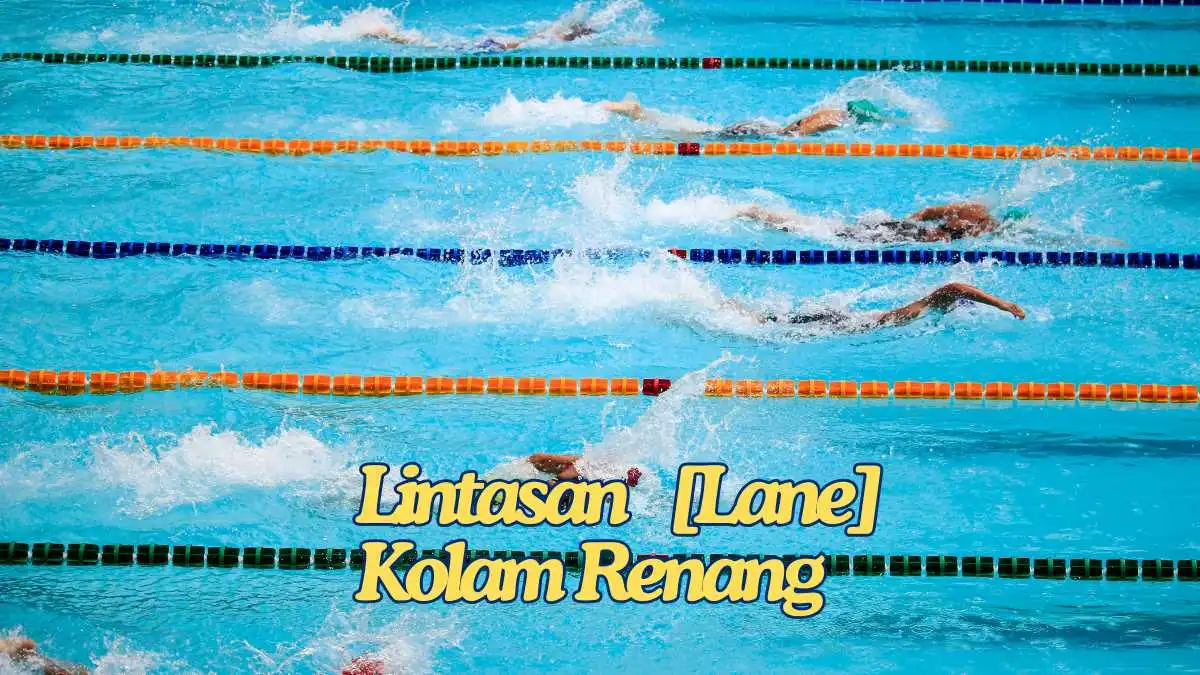 Kenali Jumlah Lintasan dalam Kolam Renang Kompetisi, Olimpiade, dan Standarnya