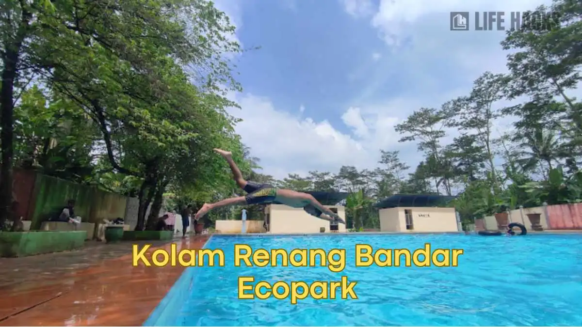 kolam renang bandar