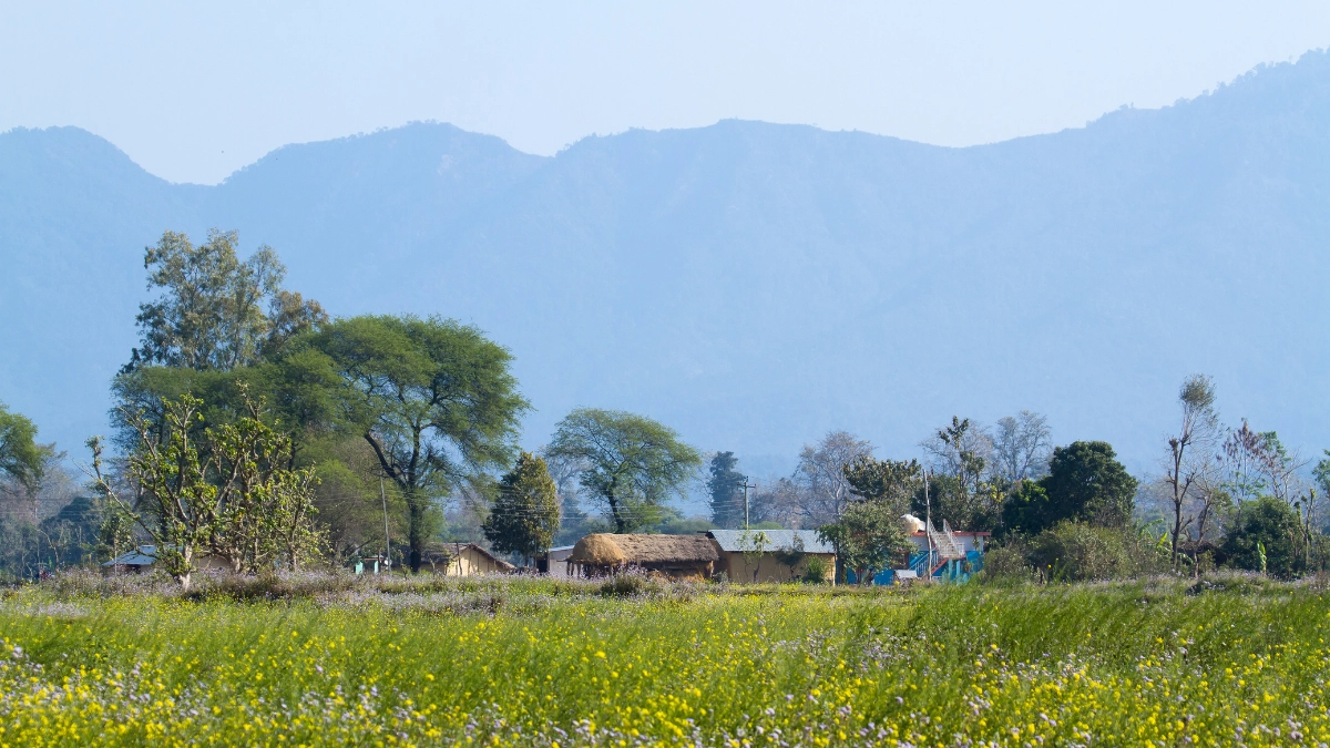 Manfaat Teknologi Wireless yang Jarang Disadari, Tapi Penting untuk Hidup Kita