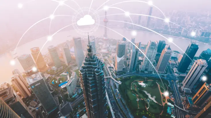 fungsi jaringan seluler