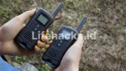 handy talkie digital - Lifehacks.id