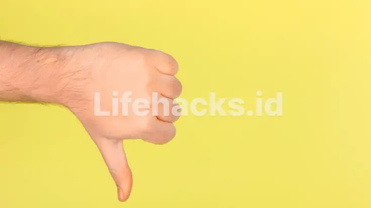 handy talkie digital