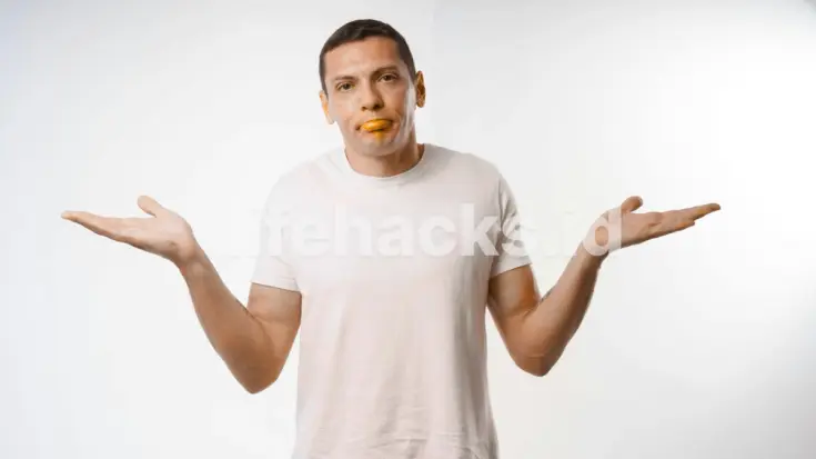 handy talkie digital