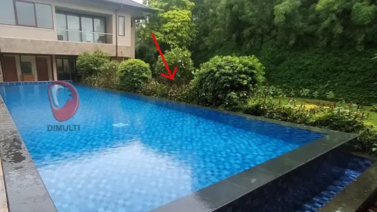 Aea taman bisa menyebabkan masalah tanah masuk ke kolam renang.