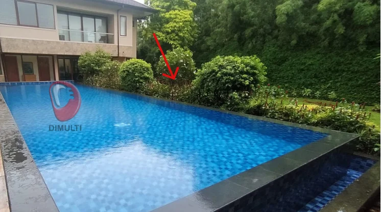 Aea taman bisa menyebabkan masalah tanah masuk ke kolam renang.
