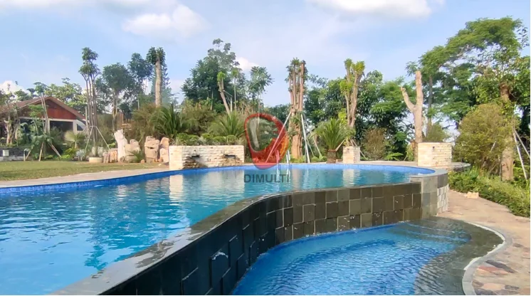 Taman Bikin Tanah Masuk ke Kolam Renang: Ini Cara Atasinya