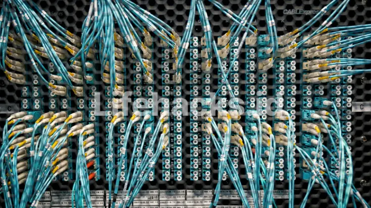 kelebihan switch ethernet