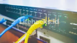 switch unmanaged - Lifehacks.id