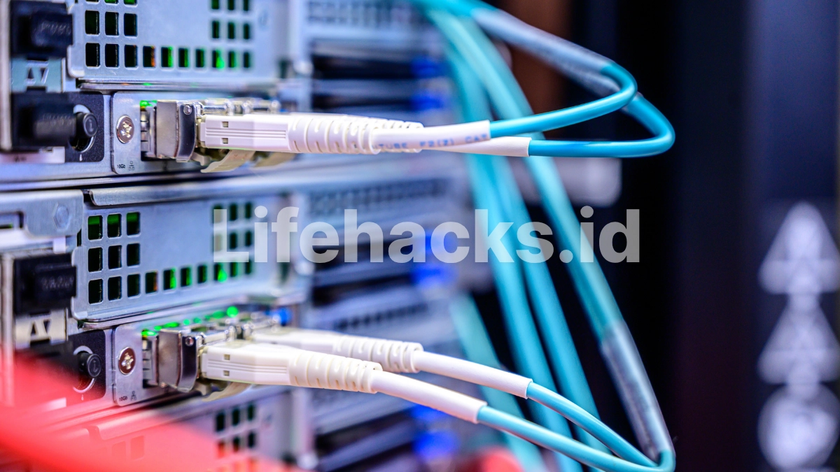 kelebihan switch ethernet - Lifehacks.id