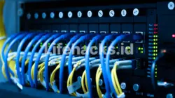 switch poe - Lifehacks.id