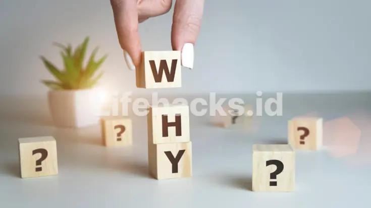 persyaratan sampel djid 