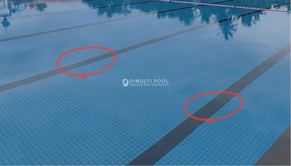 Mengetahui Standar Jumlah Lintasan Kolam Renang Olympic, Bisa Jadi Panduan!