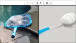 Contoh alat skimmer dalam kehidupan. Ini penjelasannya.