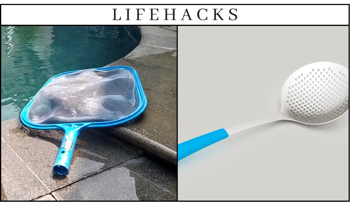 Lifehacks Literasi: Pengertian Skimmer dari Berbagai Aspek